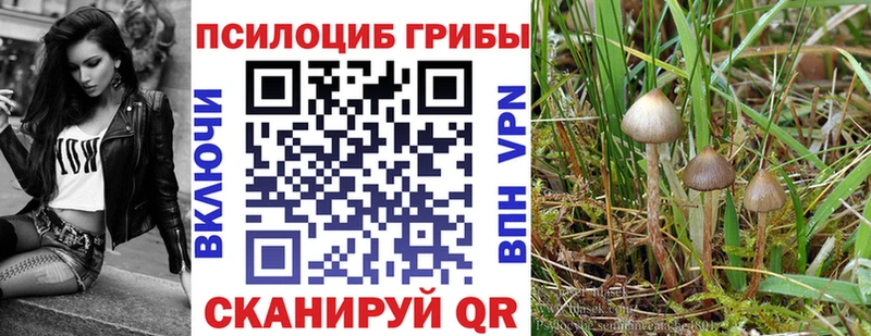 Галлюциногенные грибы Magic Shrooms Темрюк